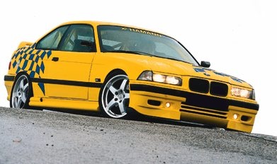 hamann7.jpg (25036 bytes)